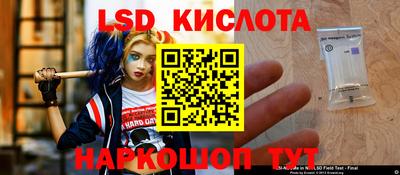 ГАЛЛЮЦИНОГЕННЫЕ ГРИБЫ Северобайкальск
